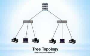 tree Topology in hindi | computer gyan hindi